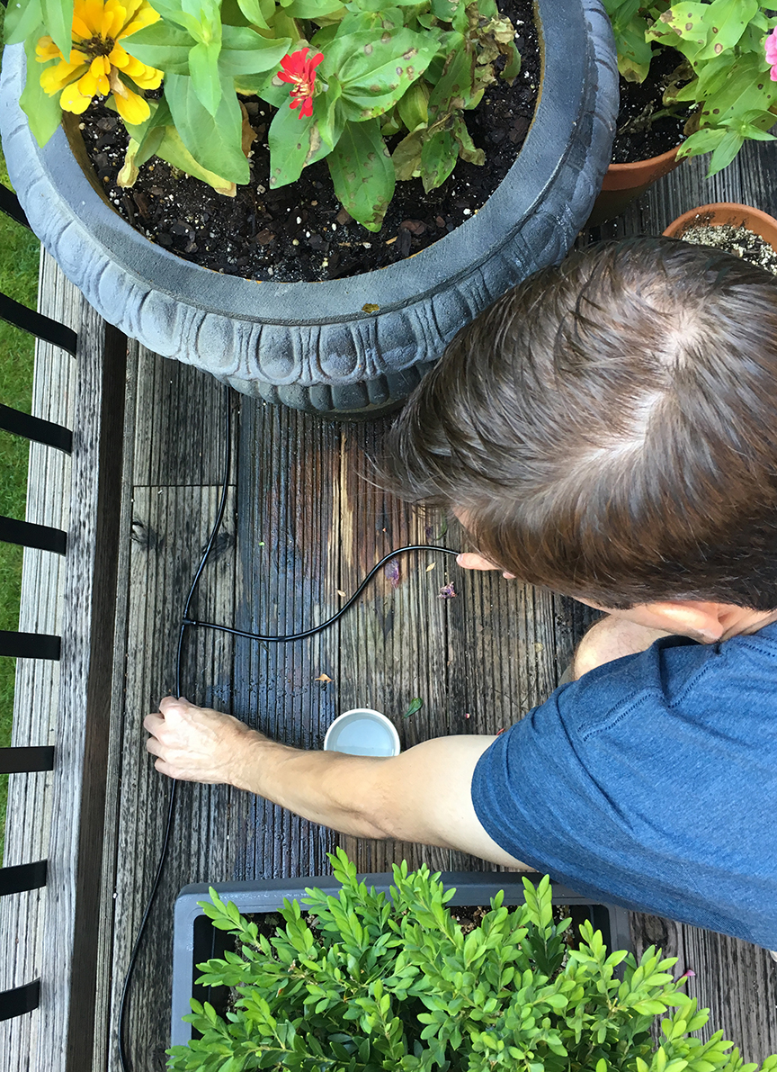 Easy DIY Irrigation System for Container Plants and Flower Boxes Less