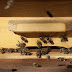 Ενημερωθείτε για τις προθεσμίες και τα δικαιολογητικά για τα προγράμματα μελισσοκομίας της Περιφέρειας