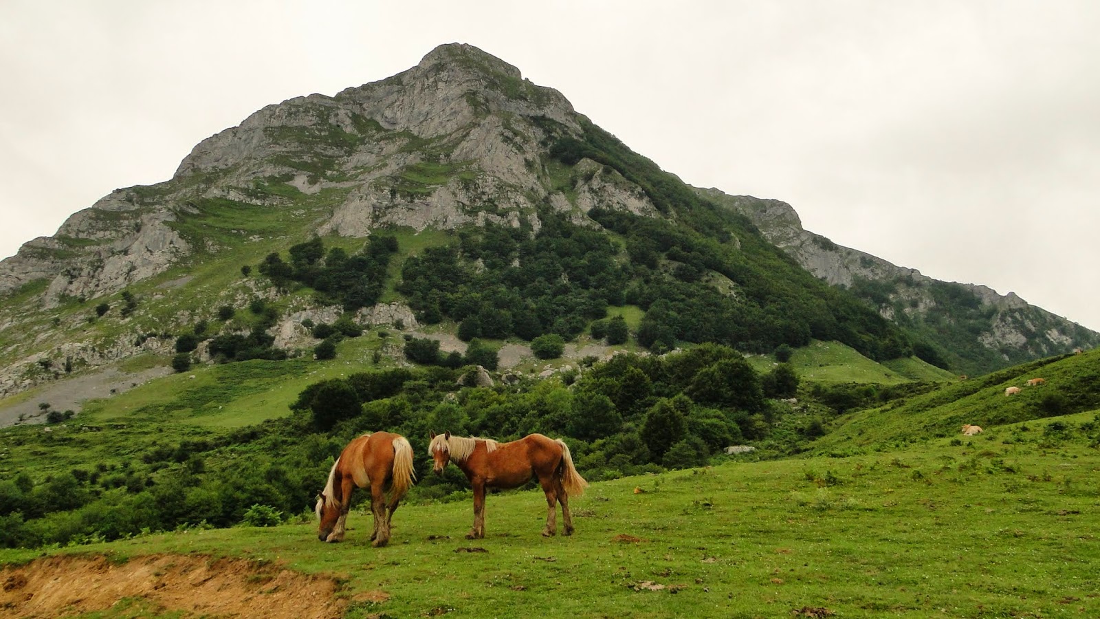 El sueño de la ruta del lobo: Azkarate-Bedaio-Azkarate. Valle de Araitz ...
