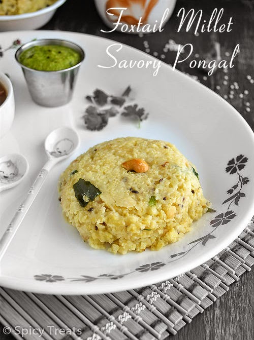 Spicy Treats Foxtail Millet Savory Pongal / Thinai Pongal Easy