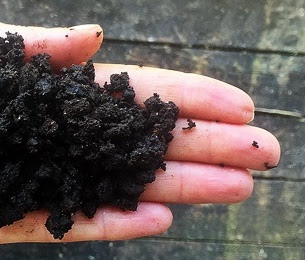 vermicompost fertilizer, organic, african nightcrawler, worm cast, cacing kompos, tahi cacing, ternakan cacing