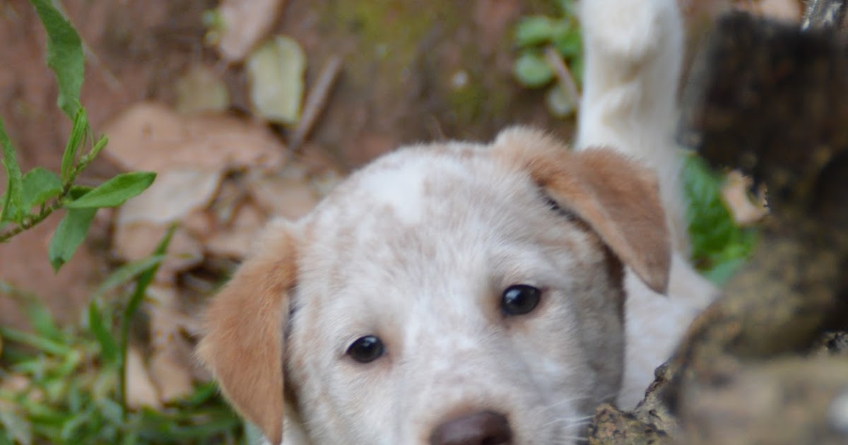 Das wahre Leben So´n büschen bekloppt ist ja ok. Dütt un datt