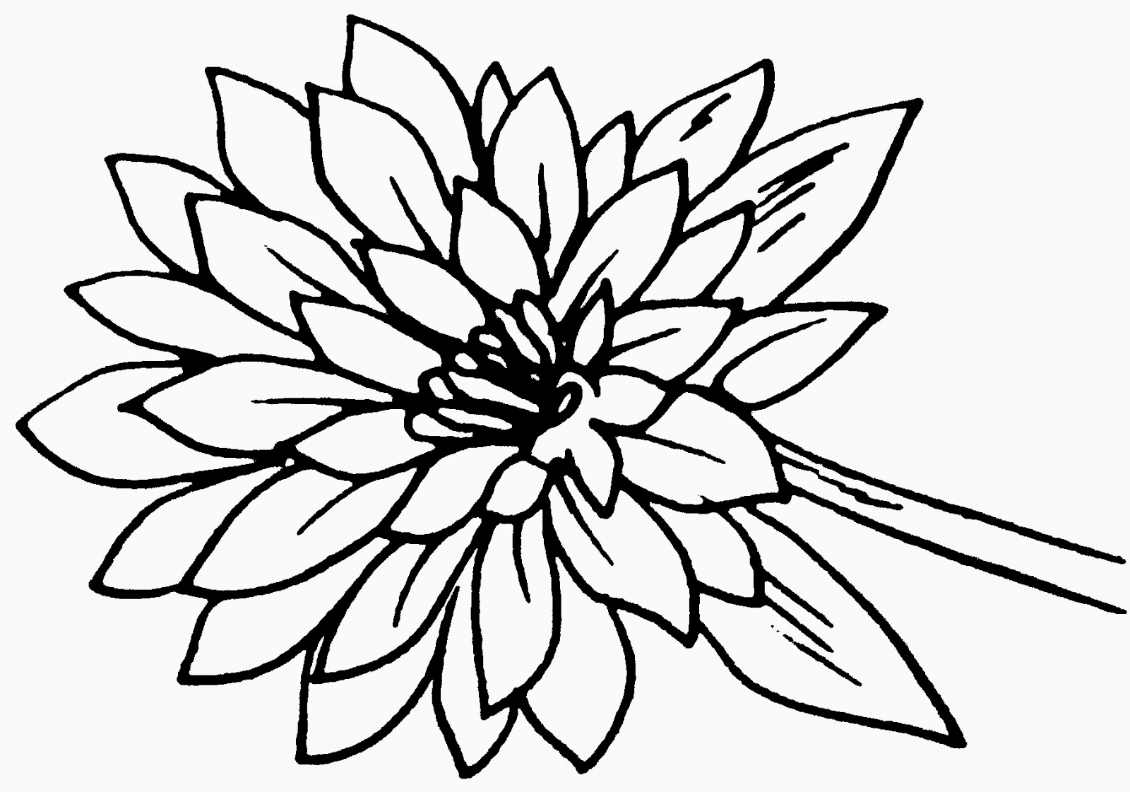 Dunia Sekolah Gambar Hitam Putih Drawing Bunga Pokok Dunia Sekolah Gambar Hitam Putih Drawing Bunga Pokok