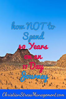 How not to spend 40 years on an 11 day journey