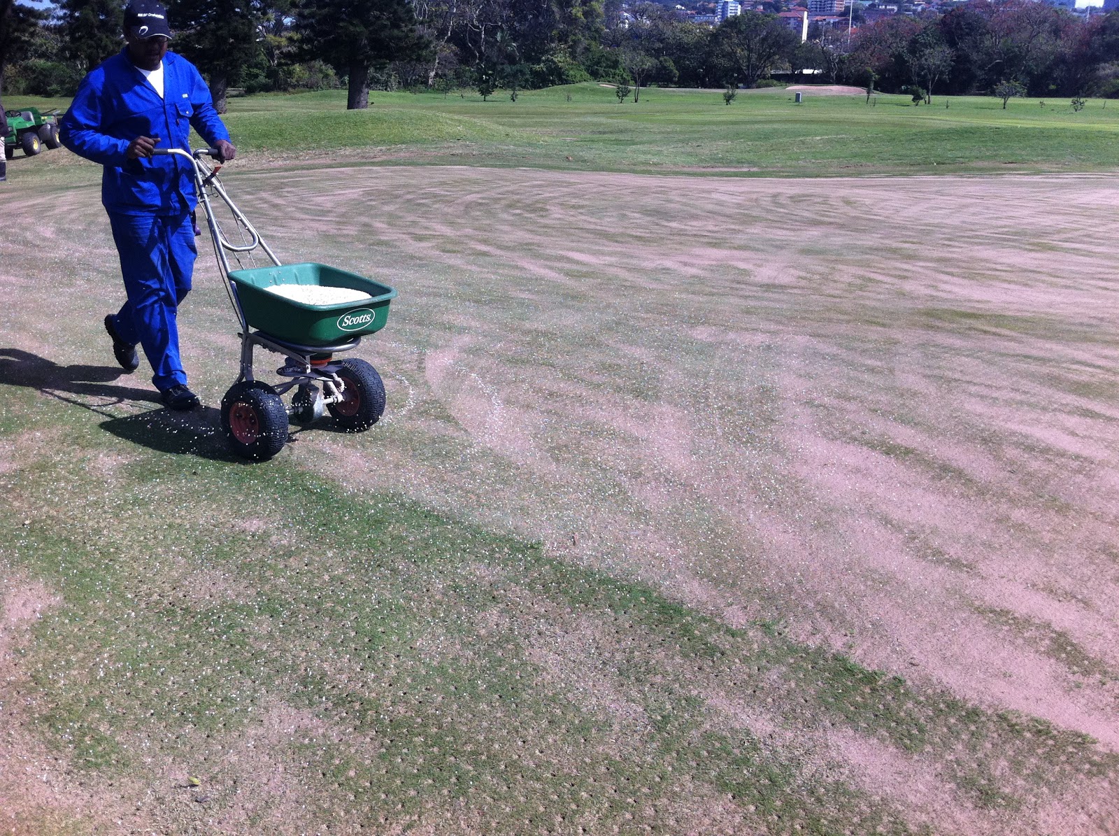 Durban Country Club Golf Course Spring Treatment (Greens)