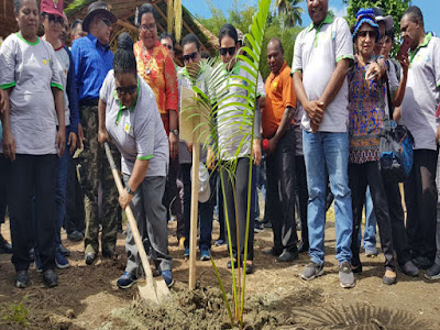 Pemprov Papua Ajak Perempuan Tanam dan Olah Sagu Diminta Jadi Agenda Rutin Pemprov Papua Ajak Perempuan Tanam dan Olah Sagu Diminta Jadi Agenda Rutin