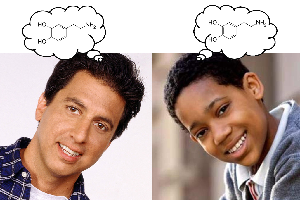 The Neurocritic Everybody Loves Dopamine