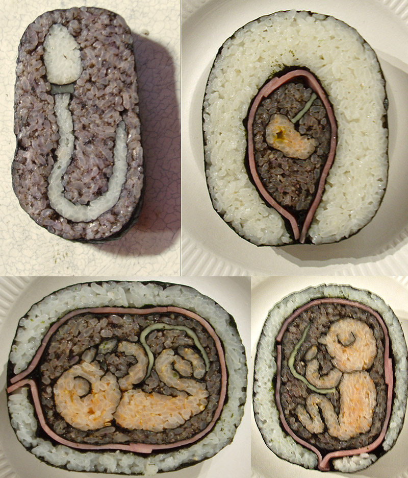 Sushi Rolls Too Cool To Eat fetus
