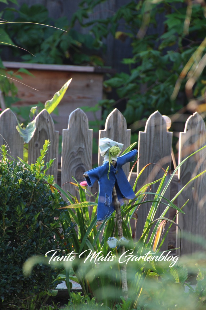 Garten Apotheke Ein Buchtipp