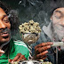 Pot Smokers Wanted! Researchers Seek 25,000 Cannabis Users for Study