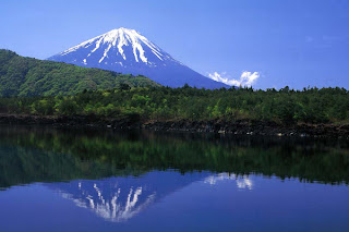 monte fuji aokigahara