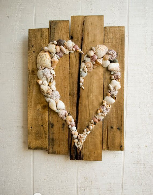 sea shells to hang on the wall