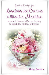 no-churn ice cream cookbook