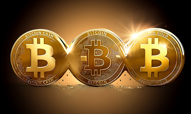 Bitcoin Bitcoin