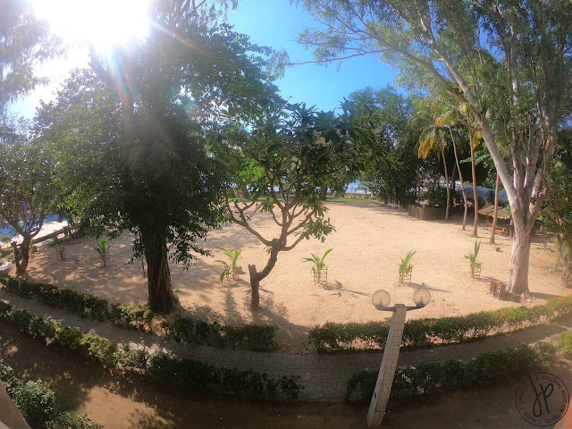 View from the Veranda trees