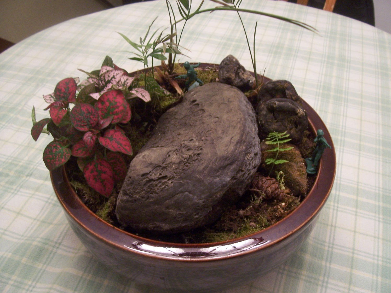 Practice in Time Indoor Activities Easy and cheap tabletop garden