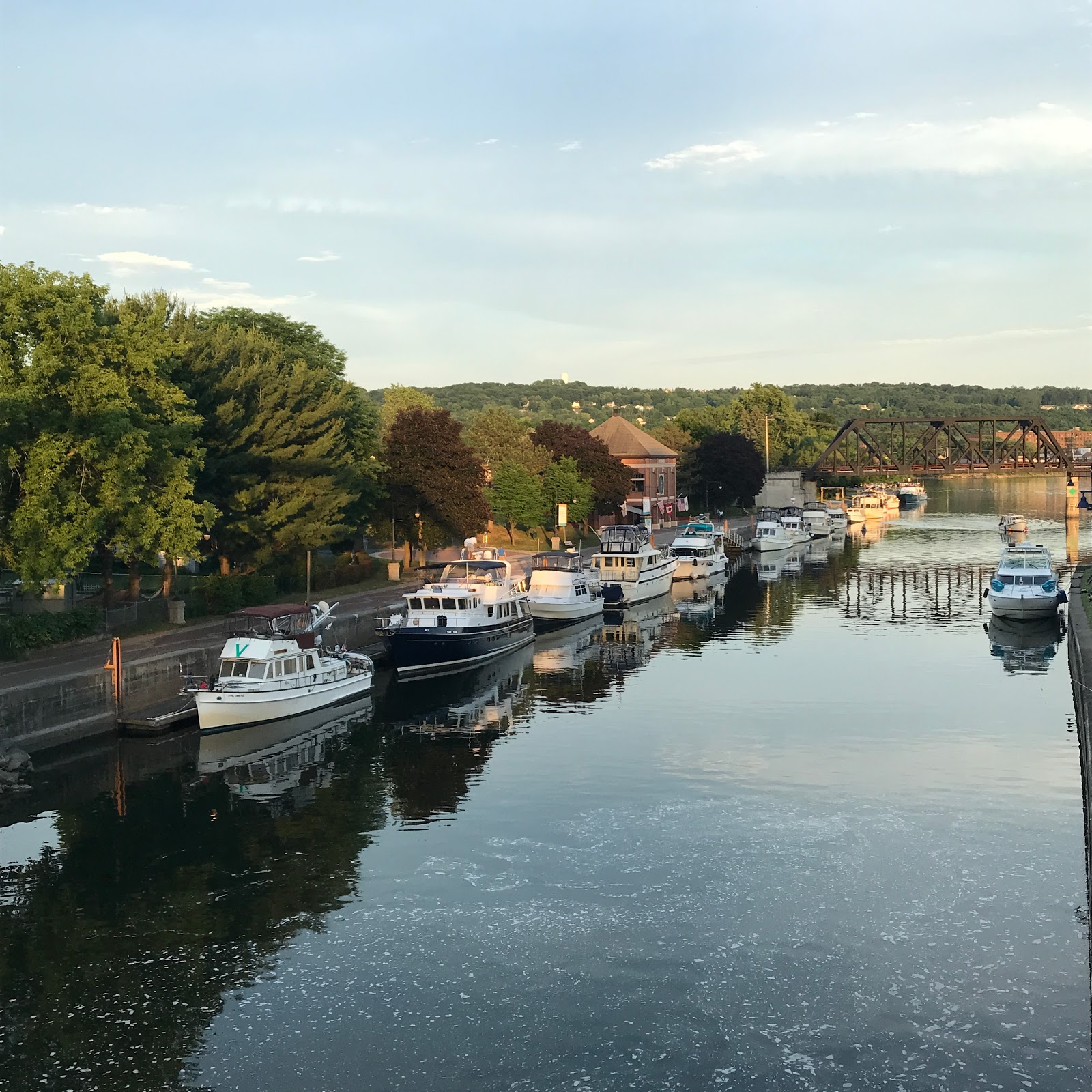 Viridian News & Views Waterford, NY