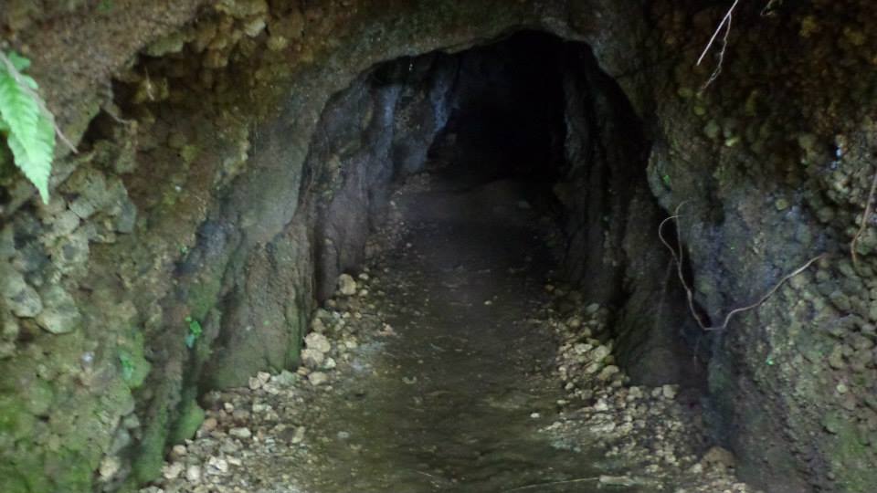 Lakbay Albay The Wandering Juan