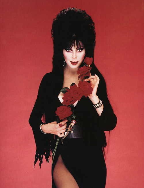 Chilling Scenes of Dreadful Villainy: A few pictures of Elvira