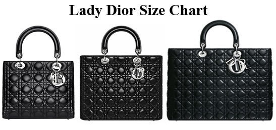 Smart Smoothies: Lady Dior Bag Reference