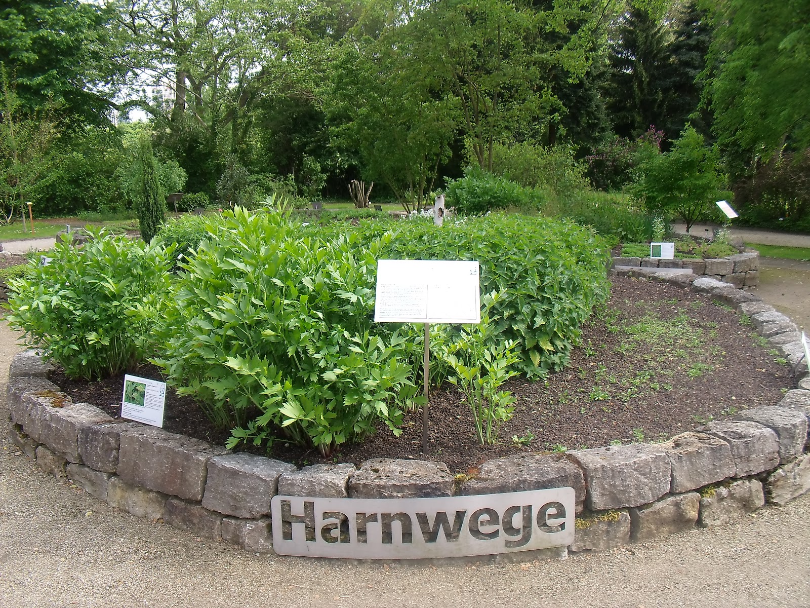 Botanischer Garten Frankfurt