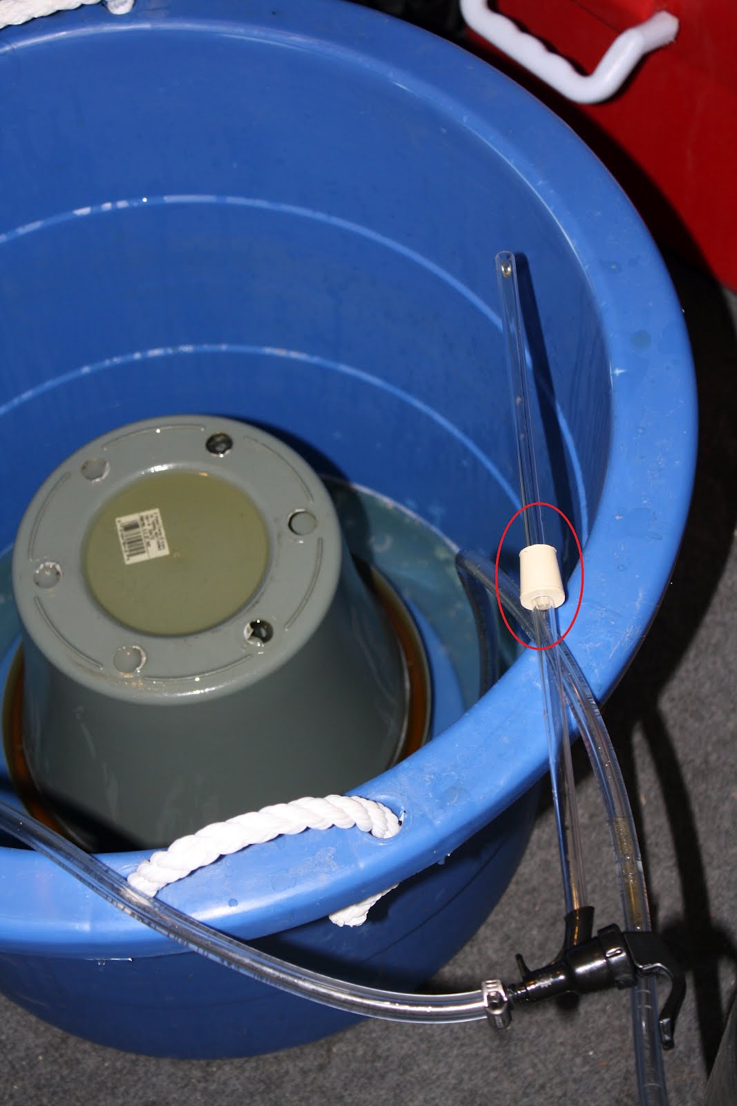 Rowdy Reptile Brewing Company Beer Gun Bottling from a Keg