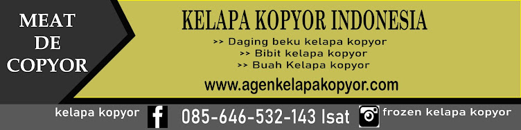 Suplier kelapa kopyor Asli | 085646532143 Surabaya 