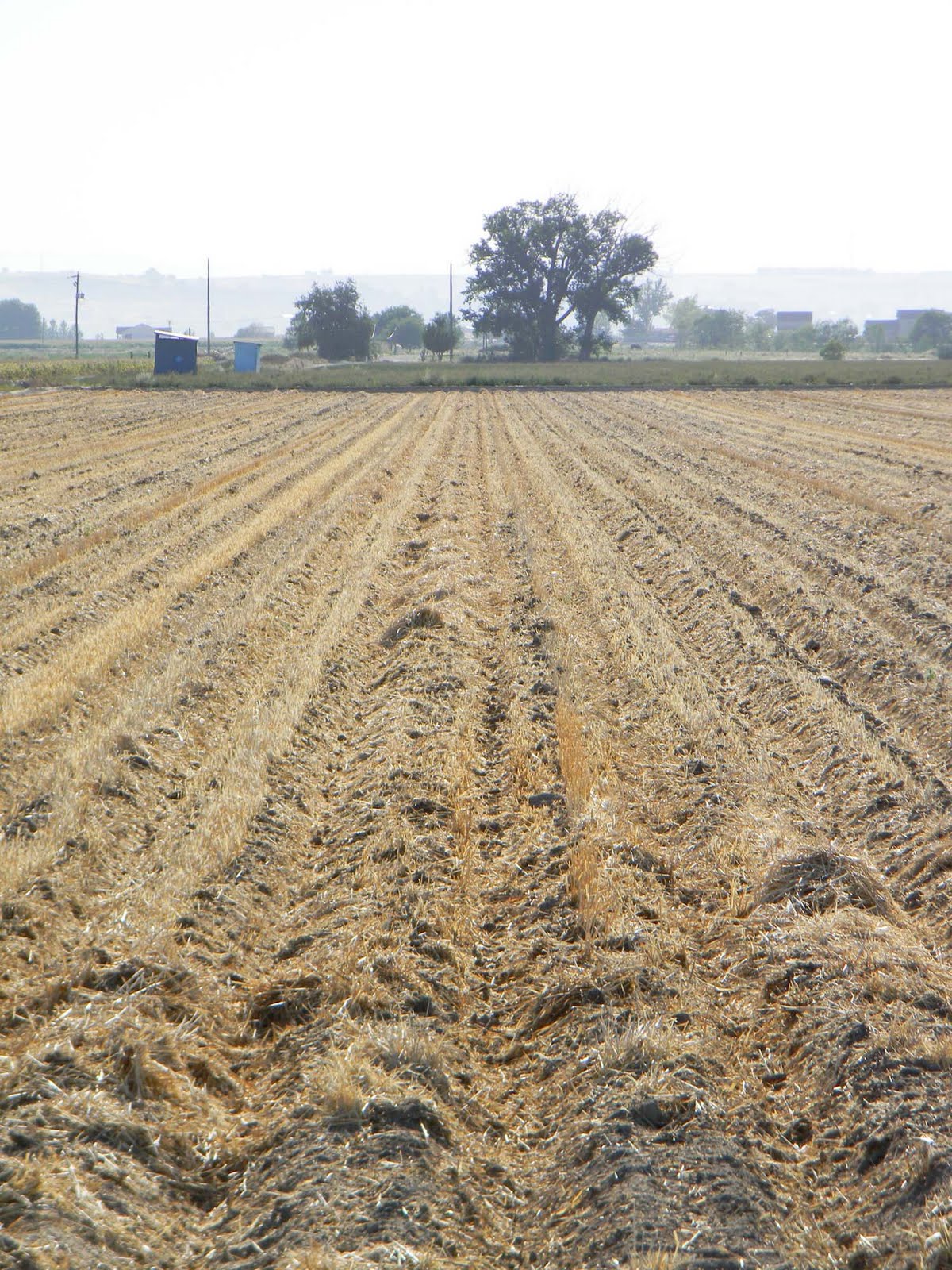 Owyhee Agriculture What Is Happening