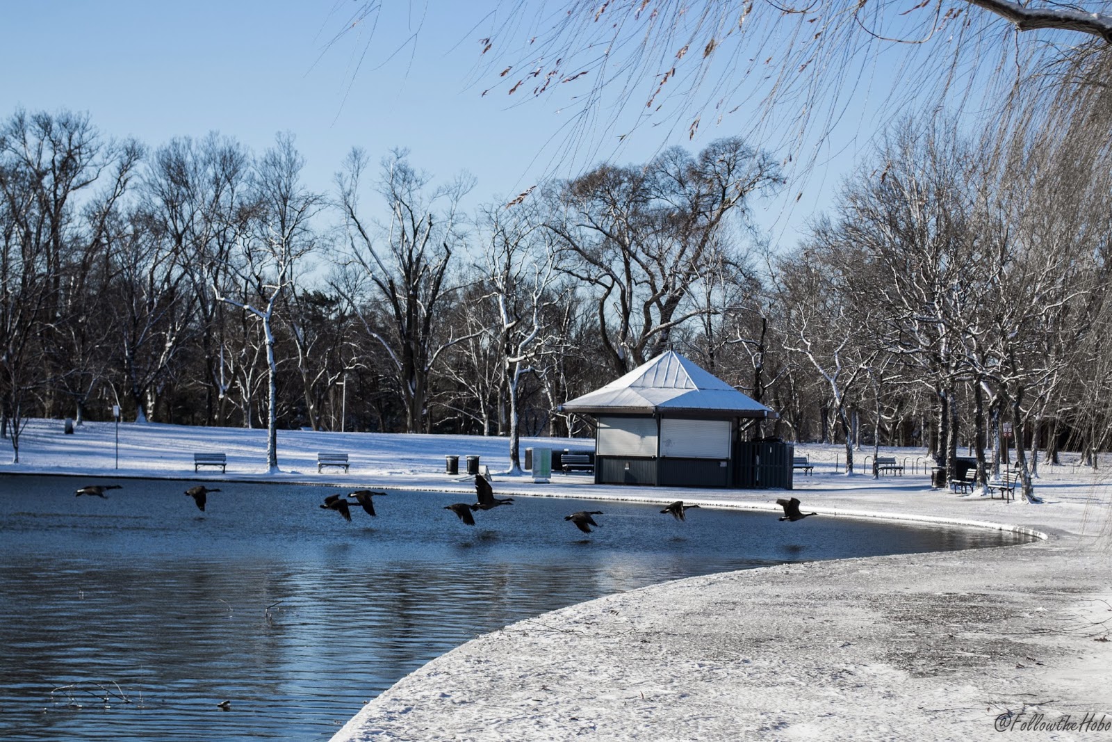 Slingshot Journals January 2014