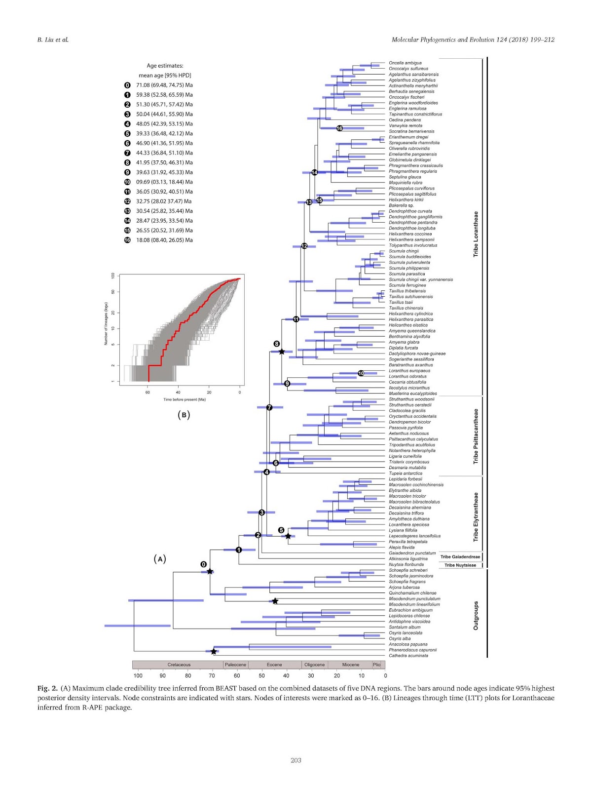 and liu et al s 2018 dated loranthaceae tree inlet their lineage through time plot make your pick it doesn t really matter does it and liu et al s 2018 dated loranthaceae tree inlet their lineage through time plot make your pick it doesn t really matter does it
