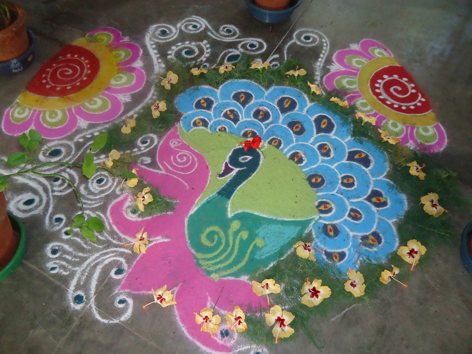 Beautiful Kolam and Painting Peacock Kolam