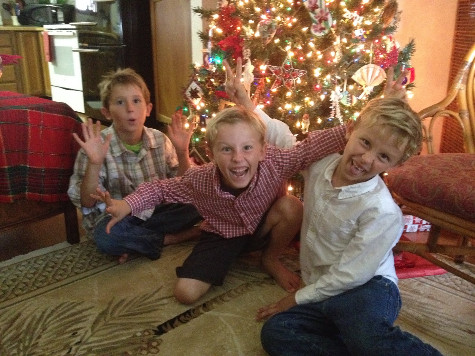 Love my 3 Grandsons!