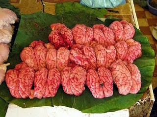 Makanan Paling Aneh