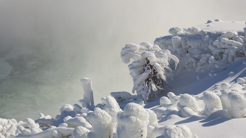 Surreal Winter Scenery