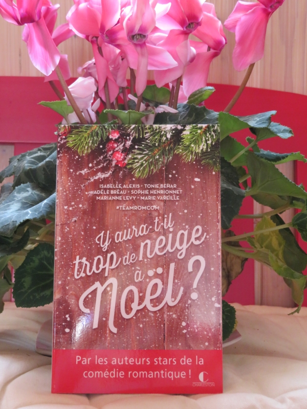 Les lectures de Mylène Y auratil trop de neige à Noël ? de Collectif