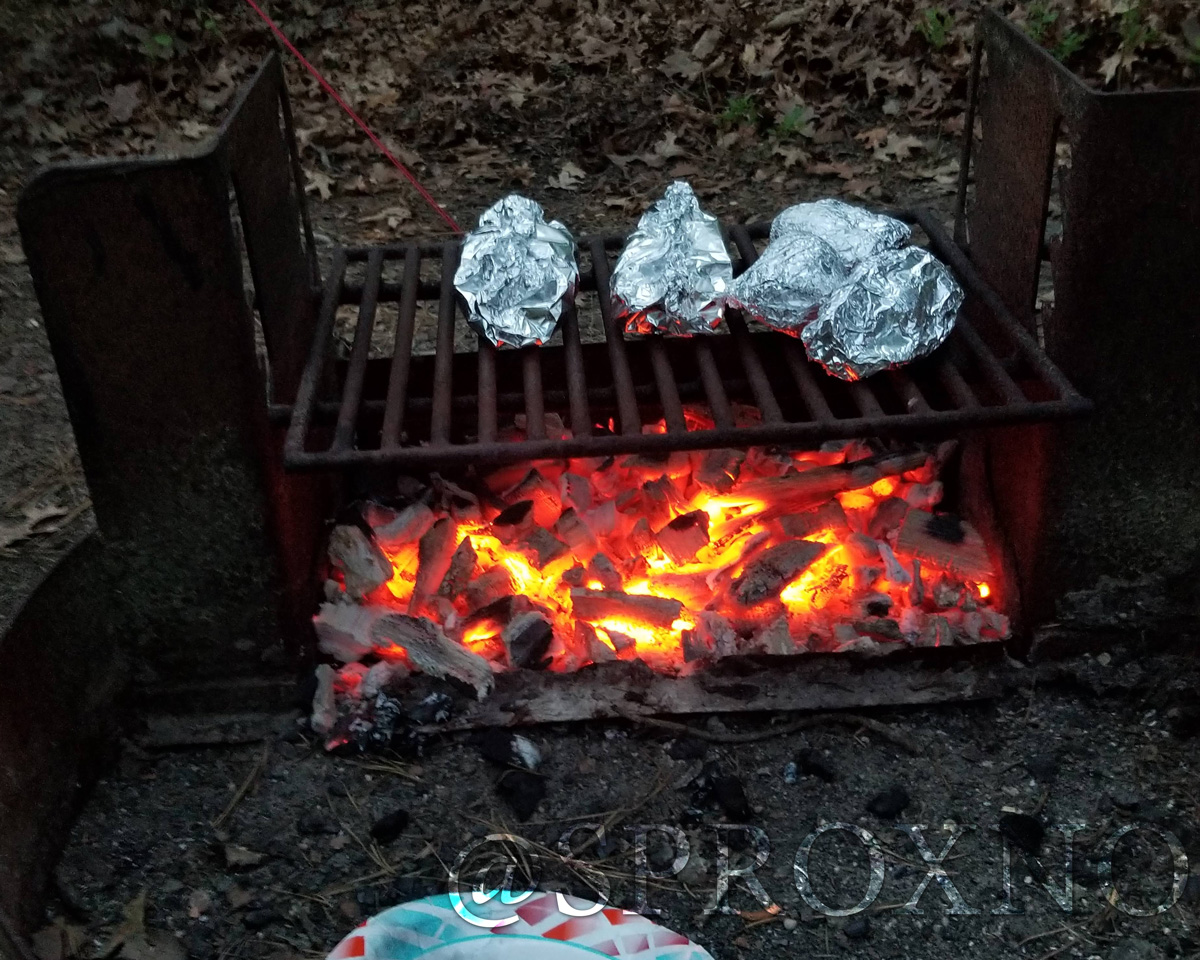 Can you use charcoal in a fire ring? Pushing Myself