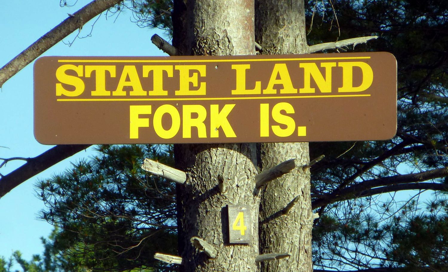 The Saratoga Skier and Hiker Lake island camping, Fork Island
