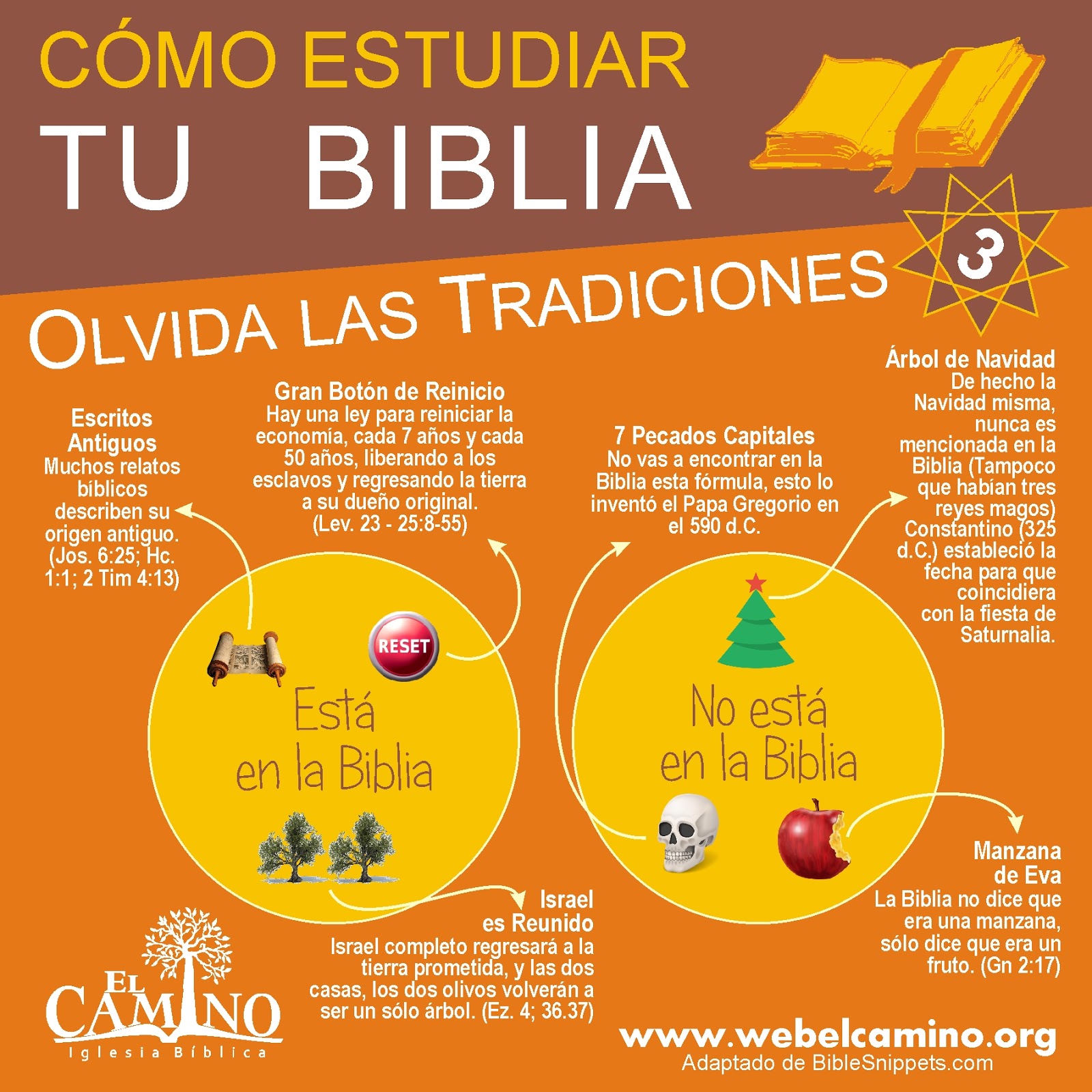 Hijos de Abraham Cómo estudiar la Biblia en 7 sencillos pasos