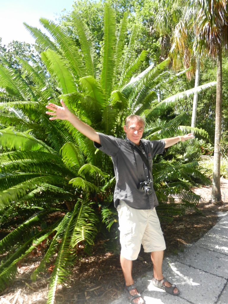 Thomas Edison Fort Myers Floride Henri Ford cycas