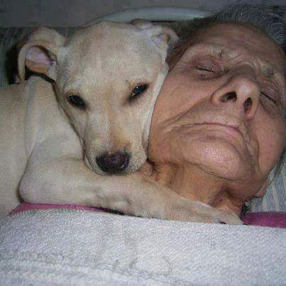 anciana-abrazada-perro-angel