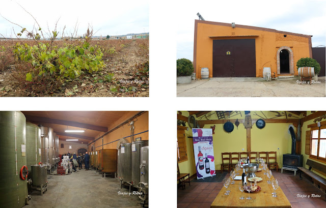Bodegas Hnos Duque García, Fuensaldaña