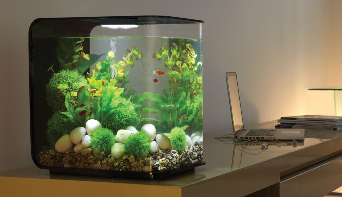 Cara Membuat Rumah Lampu Aquascape Arsitekhom