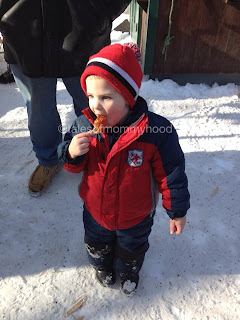 winterlude maple taffy