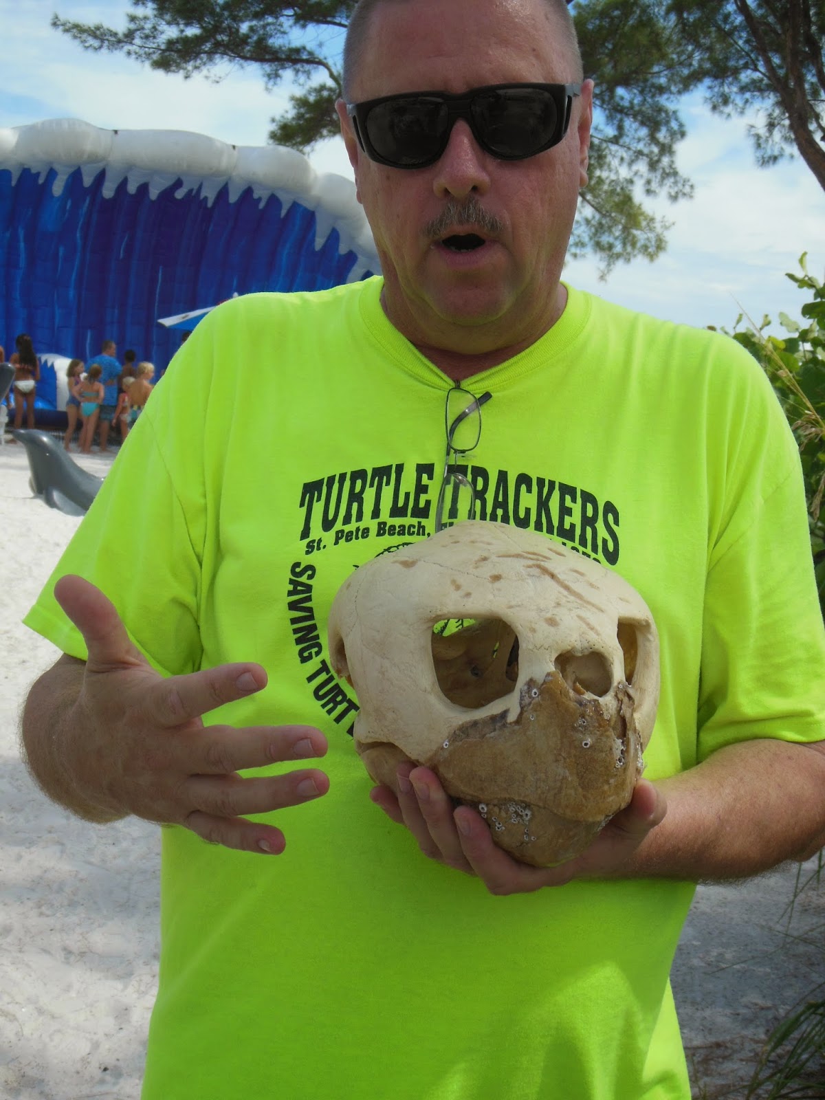 Mini Me Moves To The Beach Turtle Nest Inventory