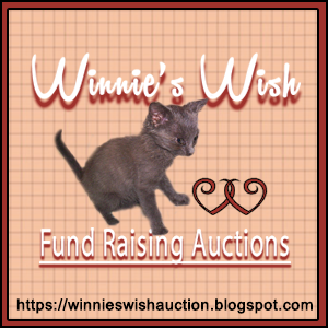 Winnie's Wish Insta-Auction