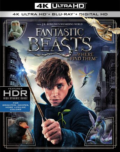 Fantastic Beasts and Where to Find Them (2016) 2160p HDR BDRip Dual Latino-Inglés [Subt. Esp] (Fantástico. Aventuras)