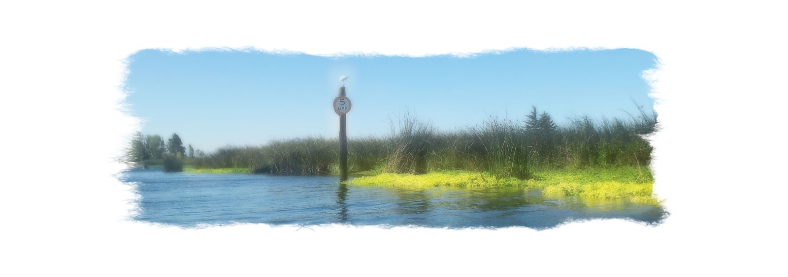 Kayaking the California Delta Bethel Island Dutch and Sand Mound Slough