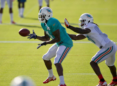 Mike-Wallace-Miami-Dolphins-August-2013
