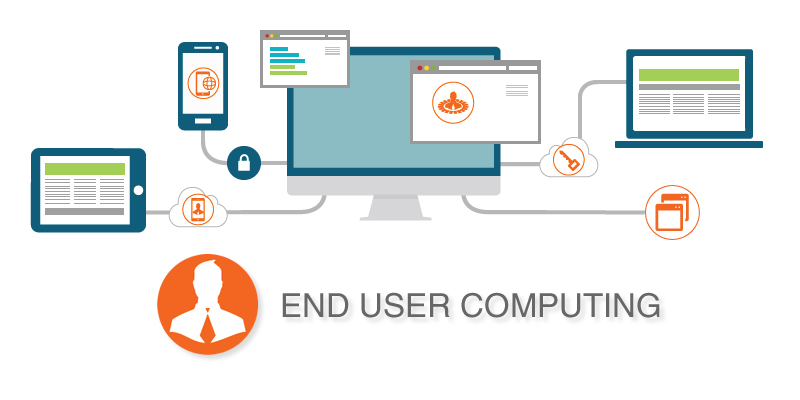End user statement. End user.