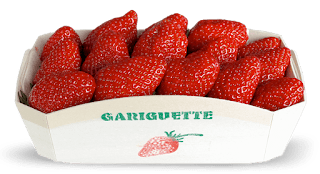 La Gariguette, la plus précoce des fraises